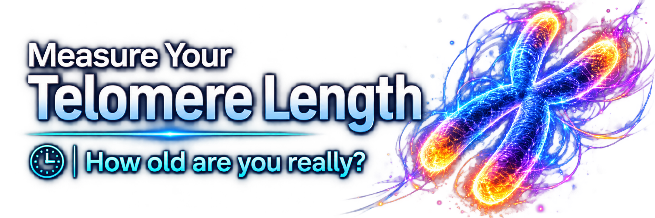 Olovnikov — Telomere length testing