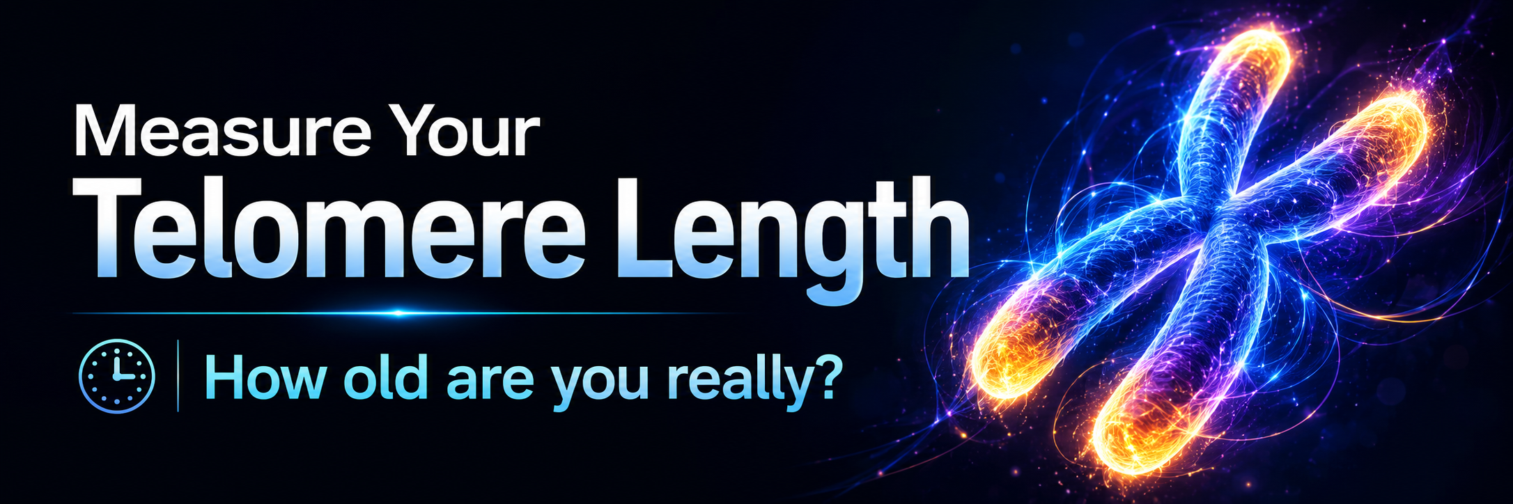 Olovnikov — Telomere length testing